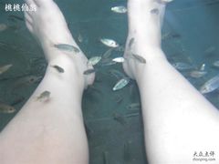 -三亚珠江南田温泉度假区