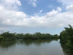 -大湾区中央湿地公园