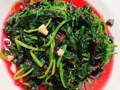 -金枝玉叶上海人家食府(三里河店)