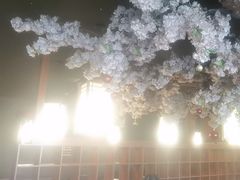 -福禧荟·海鲜自助