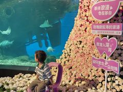 -福州罗源湾海洋世界旅游区