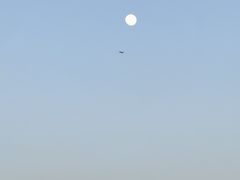 -东疆建设开发纪念公园
