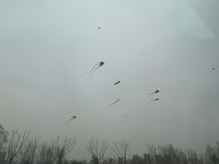 -丁香湖公园
