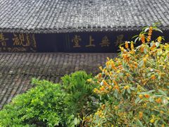 -峨眉山报国寺