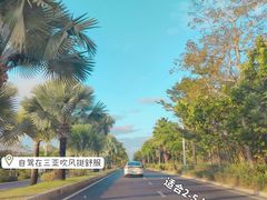 -三亚蜈支洲岛旅游区