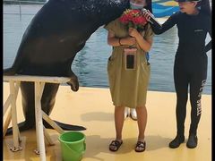 -秦皇岛乐岛海洋王国