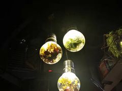 -胡桃里音乐酒馆(东区店)