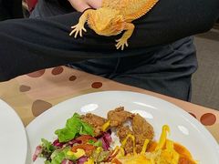 -FAIRYLAND龙族星球主题餐厅(凯丹广场店)