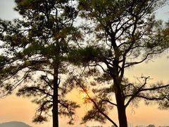-东湖落雁景区