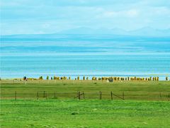 -青海湖国家重点风景名胜区