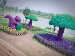 -荷兰花海