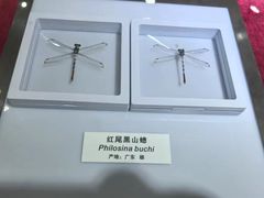 -上海昆虫博物馆