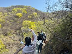 -鬼笑石后山停车场