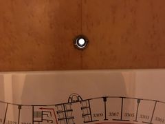 -南京维景国际大酒店(南京博物院店)