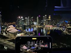 -新加坡摩天观景轮