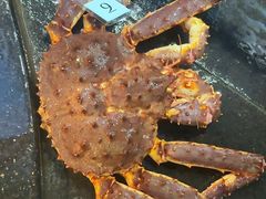 -海港酒家(始创中心店)