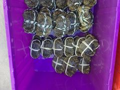 -蟹天蟹地农家菜·阳澄湖大闸蟹(浅水湾店)