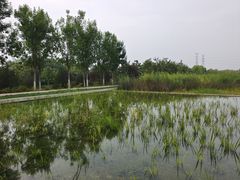 -永定河休闲森林公园