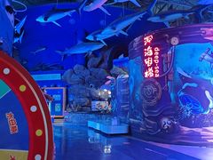 -烟台海昌鲸鲨海洋公园