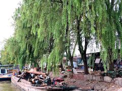 -洪湖生态旅游区