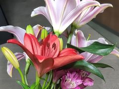 -Butchart布查德鲜花(花艺设计中心)