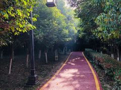 -西安汉城湖景区