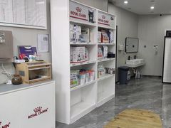 -东莞宠友24H宠物中心医院·转诊夜诊·异宠(新河北路院)