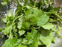 -黔府豆米火锅野菜馆(南马店)