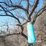 偶然间发现，莽山公园和天池相邻，而且还相通