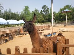 -西安秦岭野生动物园