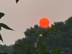-杭州香格里拉·香宫中餐厅