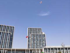 -尚贤河湿地
