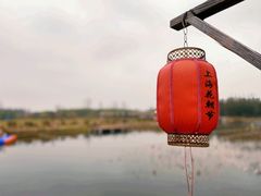 -东平国家森林公园