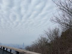 -紫金山山顶公园