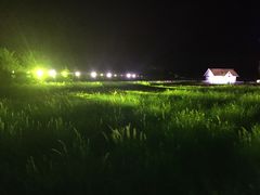 -广州花之恋城堡酒店