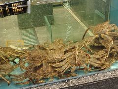 -鸿星花园酒家(银亿家园店)