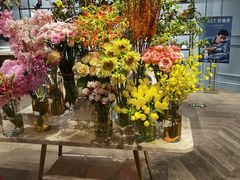 -BEAST野兽派(上海浦东嘉里城店)