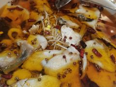 -宏宴·新京菜(望京店)