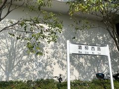 -灞河西岸滨河公园