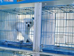 -萌兽医馆·宠物医院·猫骨科(创景店)