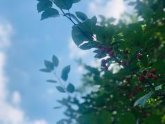 -哈根达斯(皇城恒隆广场店)