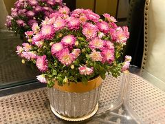 环境优美-芳芳私房菜·精做淮扬菜(承德路店)