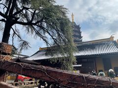 -灵岩山风景区