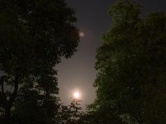 -三垟湿地