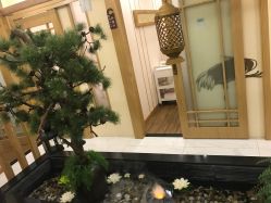 -芳朵美容养生SPA