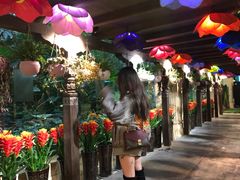-杭州第一世界大酒店·云曼温泉