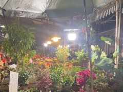 -曲阳花鸟市场(曲阳路店)