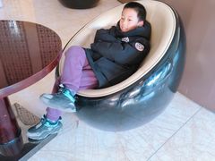 -廊坊固安福朋喜来登酒店