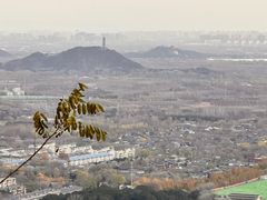 -北京西山国家森林公园