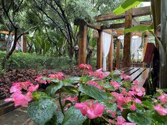 -华侨城阳宗海海景温泉